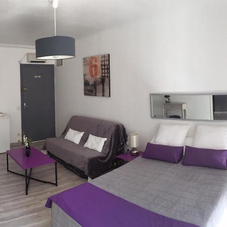 Locations Appartements Standing Amelie-Les-Bains 外观 照片