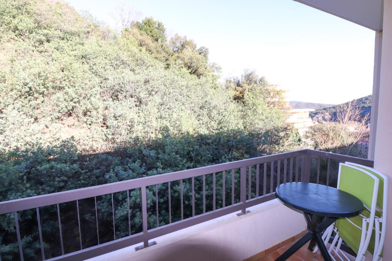 Locations Appartements Standing Amelie-Les-Bains 外观 照片