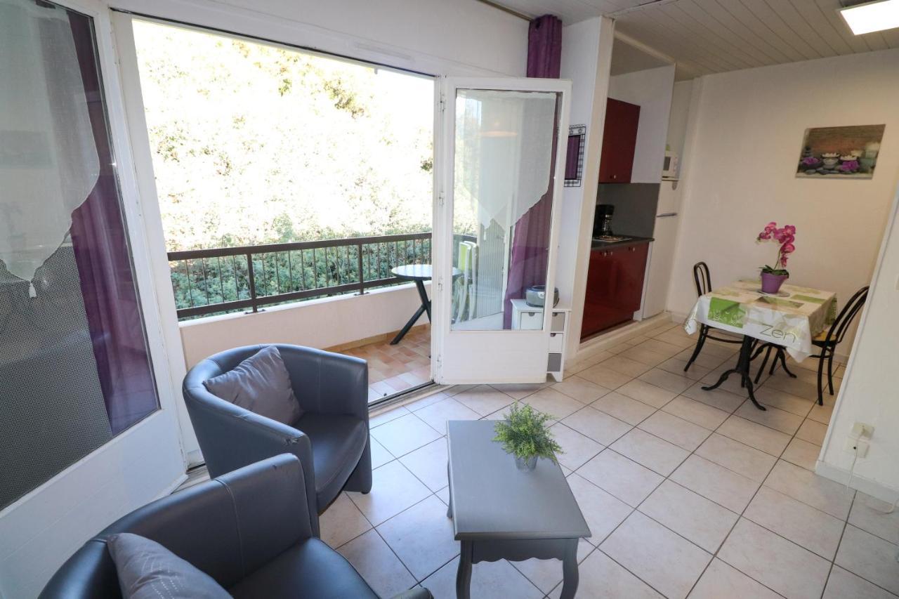 Locations Appartements Standing Amelie-Les-Bains 外观 照片
