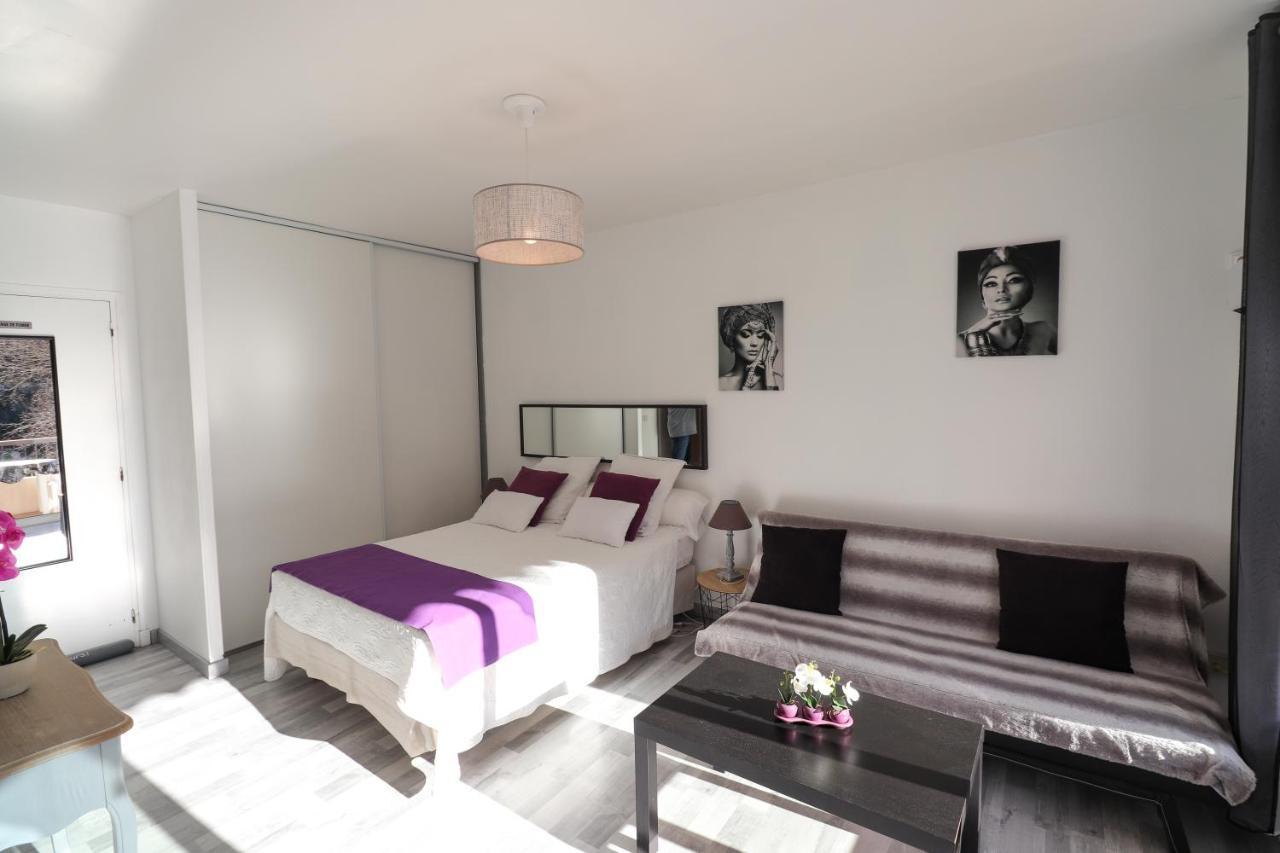 Locations Appartements Standing Amelie-Les-Bains 外观 照片
