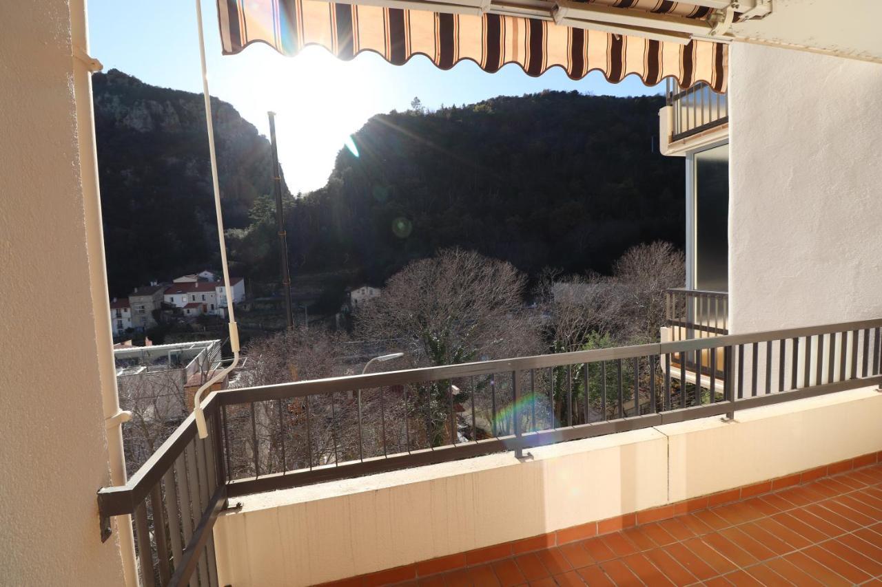 Locations Appartements Standing Amelie-Les-Bains 外观 照片